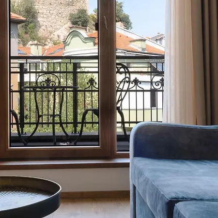 Flavia Heritage Boutique 3* بلوفديف